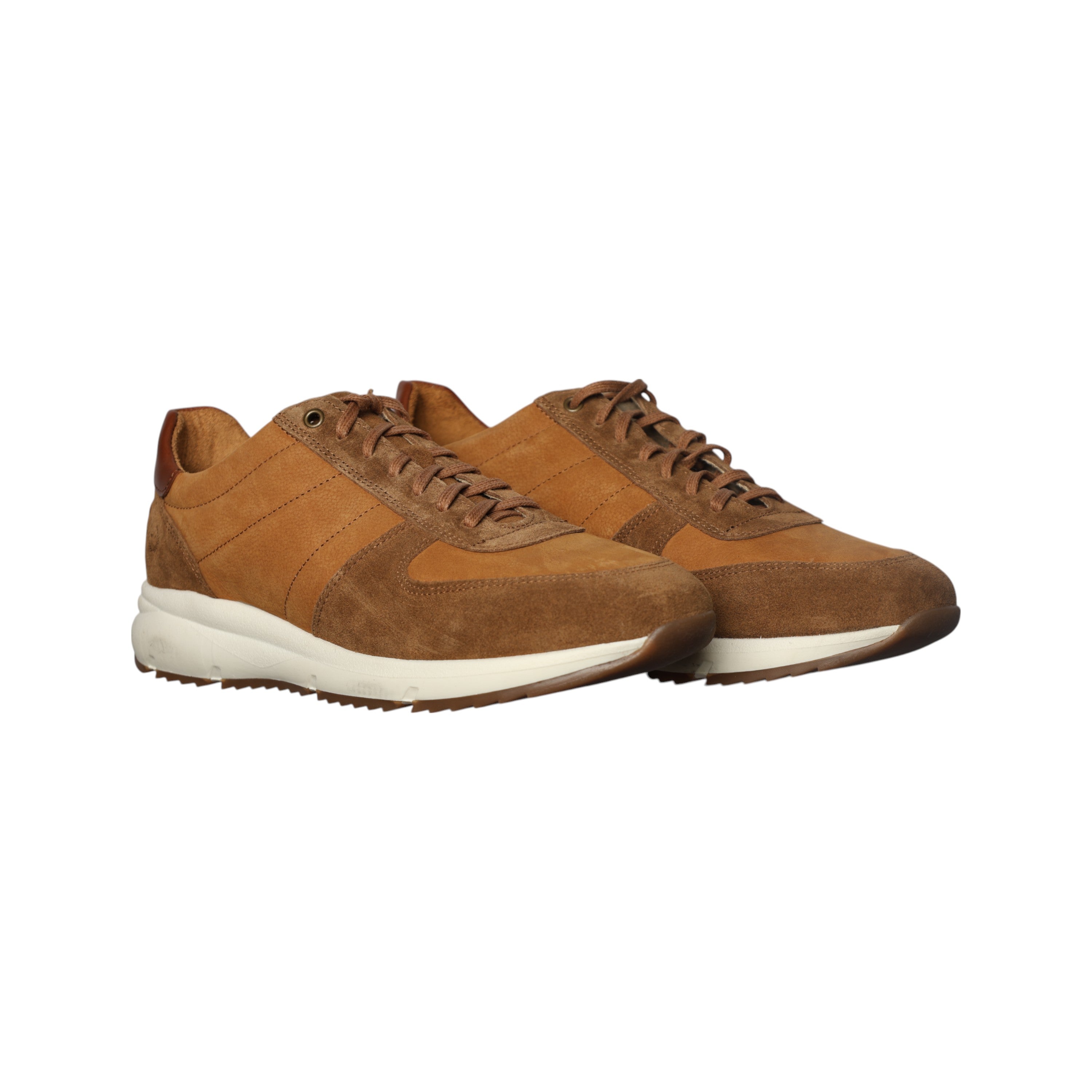 Rossimoda Sneaker Alvar Tan